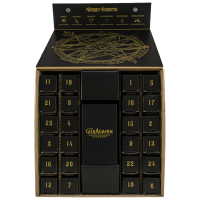 Adventskalender 2021 - Whisky Wonder World 45,3% 24 x 0,02l